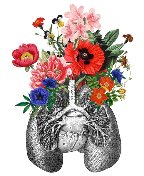 Exhale Centre