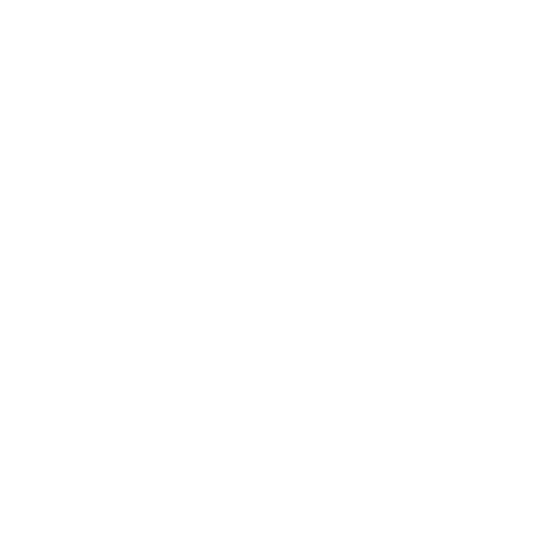 NORDA SKIN