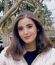 Book an Appointment with Seyda Bilikci for BC ICBC MVA Counselling